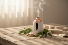 Hot and Cold Face Steamer