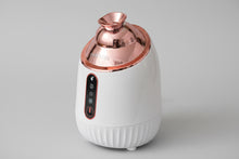 Hot and Cold Face Steamer